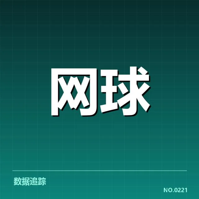 戴维斯杯伤病恢复:球员康复进展如何影响赛季布局